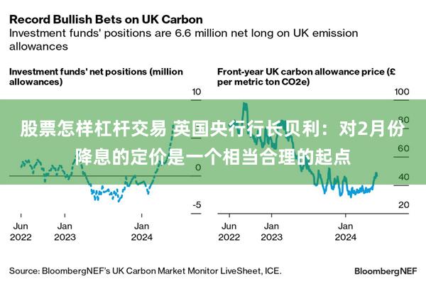 股票怎样杠杆交易 英国央行行长贝利：对2月份降息的定价是一个相当合理的起点