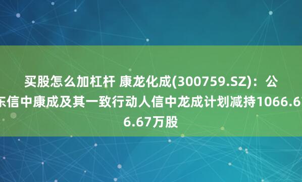 买股怎么加杠杆 康龙化成(300759.SZ)：公司股东信中康成及其一致行动人信中龙成计划减持1066.67万股