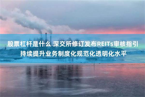 股票杠杆是什么 深交所修订发布REITs审核指引 持续提升业务制度化规范化透明化水平