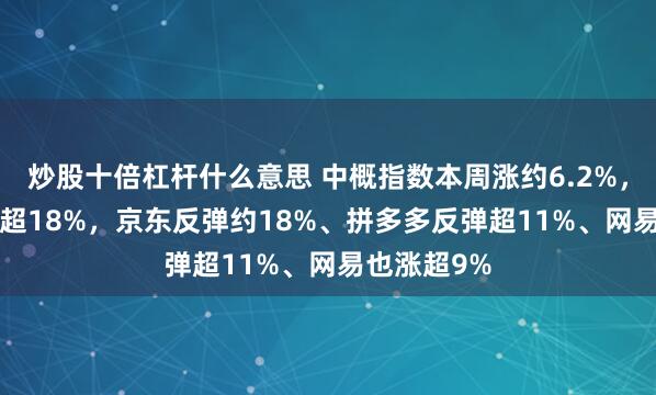 炒股十倍杠杆什么意思 中概指数本周涨约6.2%，YINN反弹超18%，京东反弹约18%、拼多多反弹超11%、网易也涨超9%