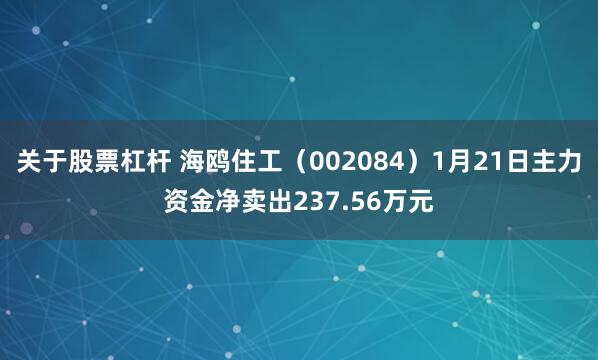 关于股票杠杆 海鸥住工（002084）1月21日主力资金净卖出237.56万元