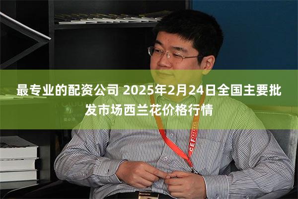 最专业的配资公司 2025年2月24日全国主要批发市场西兰花价格行情